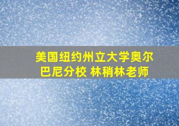 美国纽约州立大学奥尔巴尼分校 林稍林老师